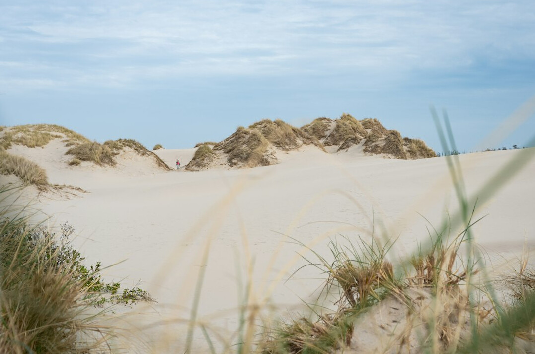 Wide sandy dune landscape at the tip of Skagen