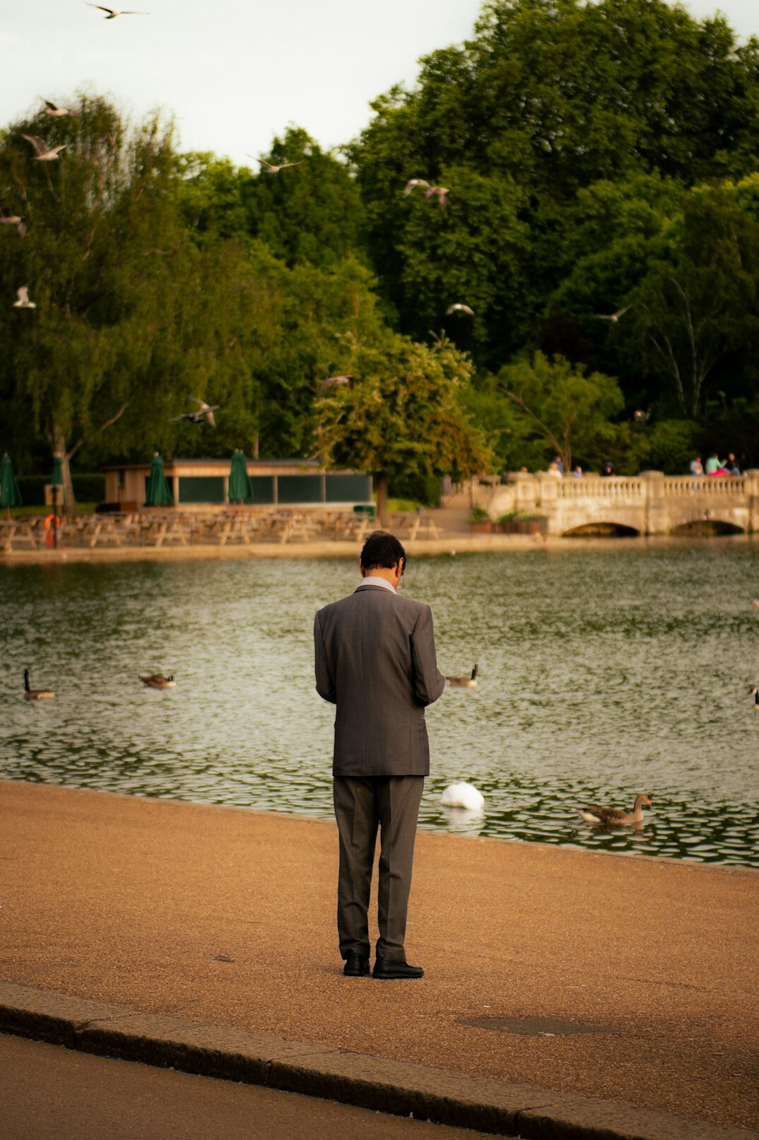 man in park feeding birds